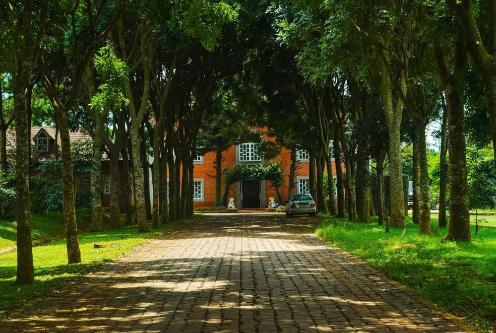 Garage door services in South Weymouth